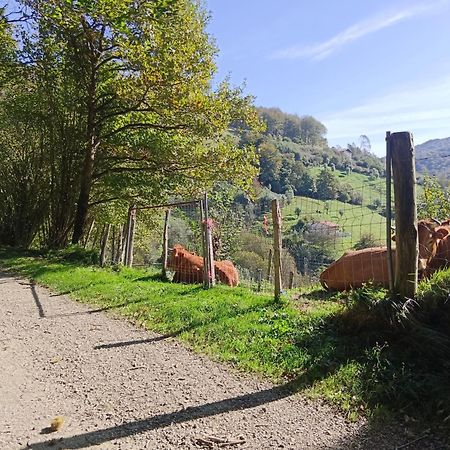 Hostal-Cicloturismo Lopenea Leitza Kültér fotó