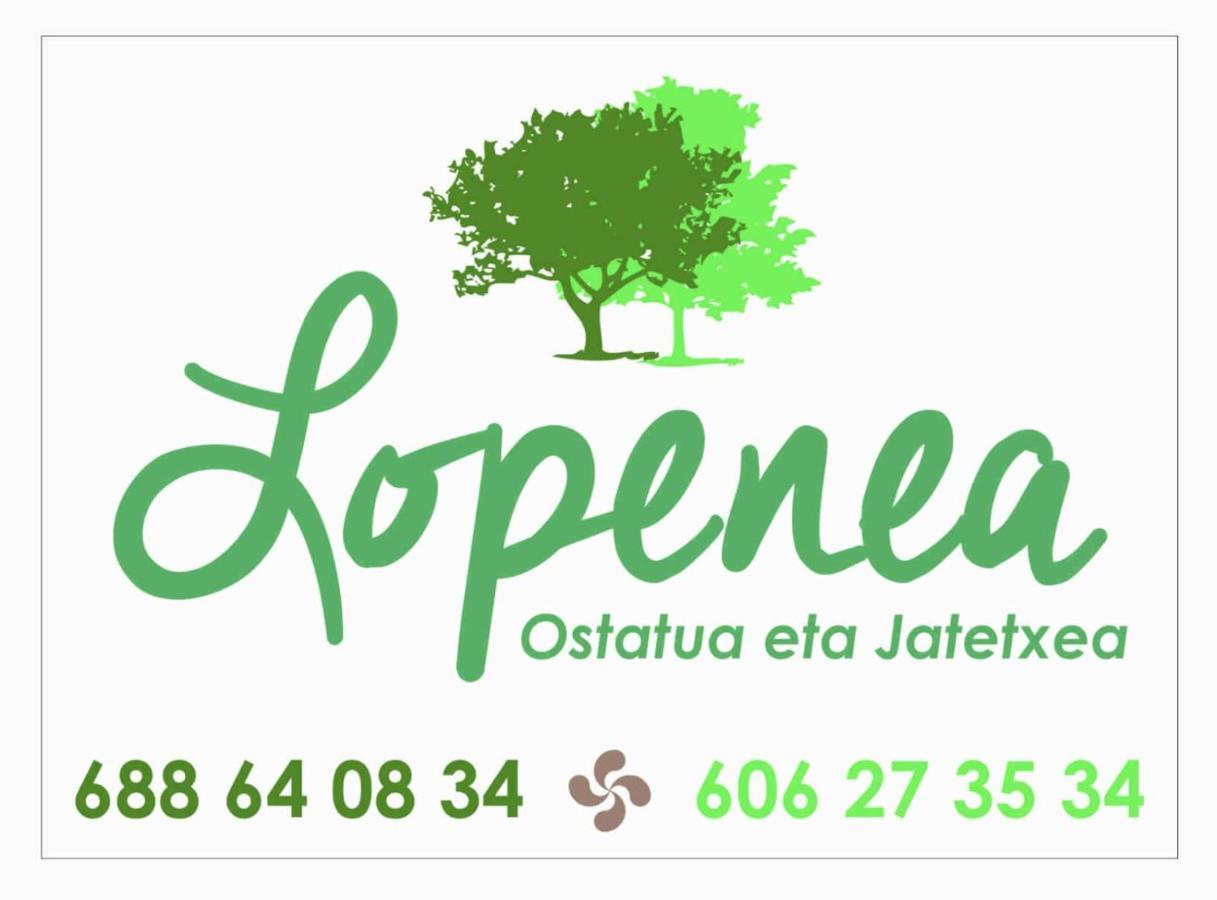 Hostal-Cicloturismo Lopenea Leitza Kültér fotó
